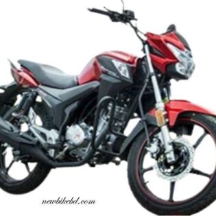 Roadmaster Velocity 100