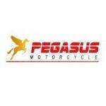 pegasus-bike-logo-150x150