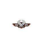 regal-raptor-logo-150x150